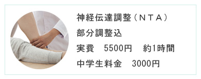 神経伝達調整（NTA） 部分調整込　実費　5000円　約1時間