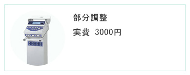 部分調整　実費2000円